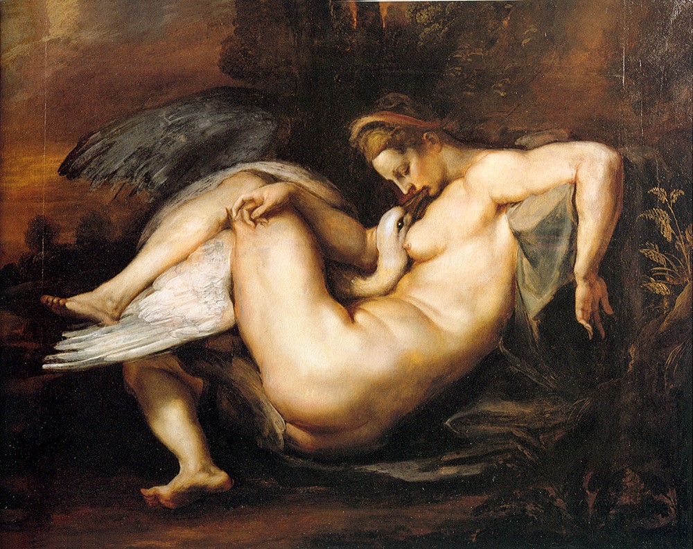 Leda and the Swan by Sir Peter Paul Rubens