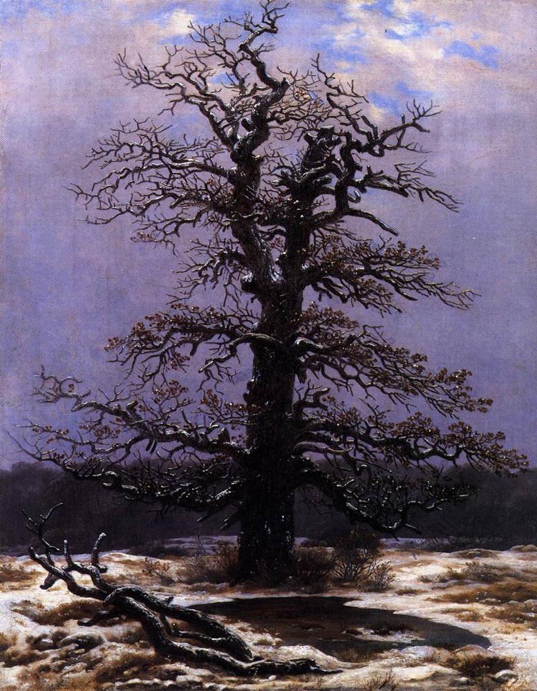 Oak In The Snow by Caspar David Friedrich