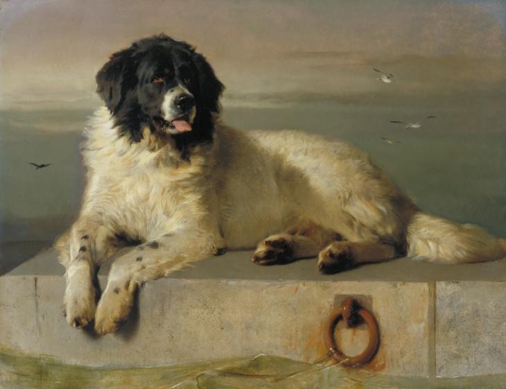 A Distinguished Member of the Humane Society by Edwin Henry Landseer