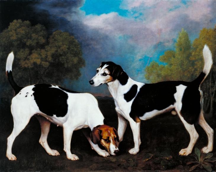 A couple of Foxhounds by George Stubbs